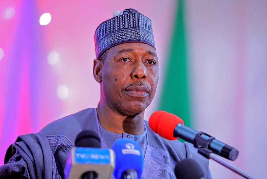 Palliatives: No government can provide food to every resident – Zulum