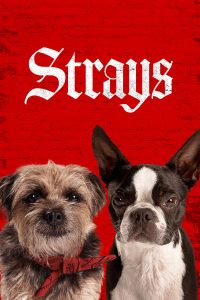 Strays (2023) – Hollywood Movie