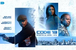 Code 13
